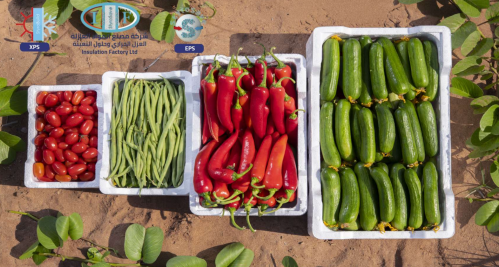 Multi-use Fruit box (2.5Kg)