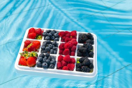 (12) Multi-use cooling box