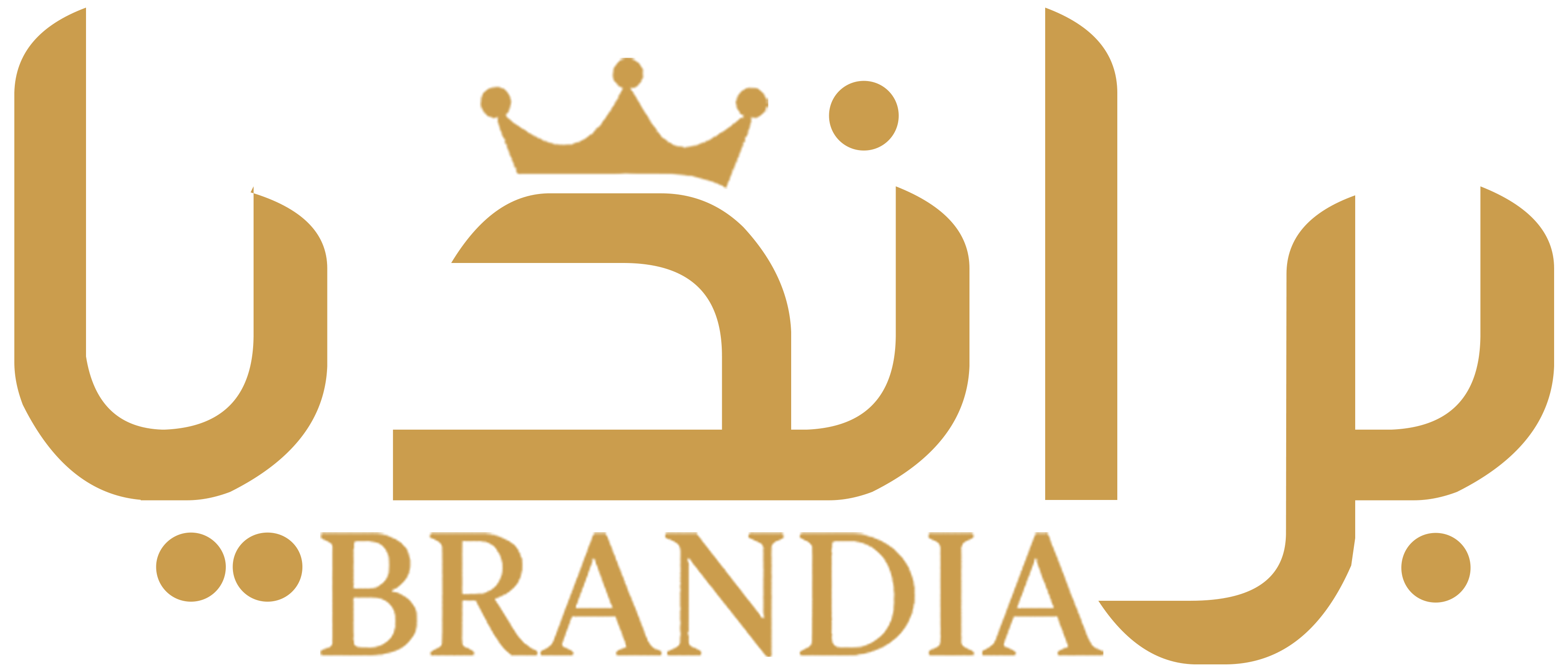 brandia-sa.com favicon