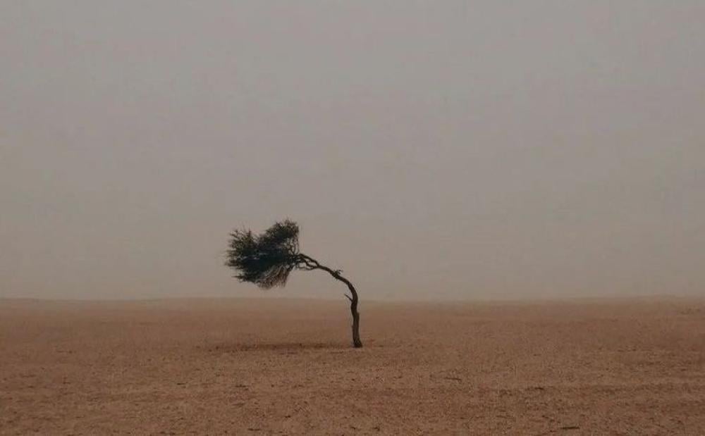 ليست كل مشاعرك.. حقائق