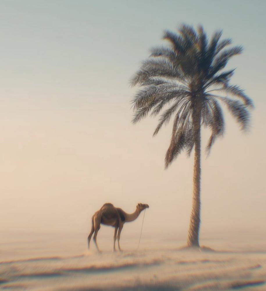 أقدارك لم تتعطل