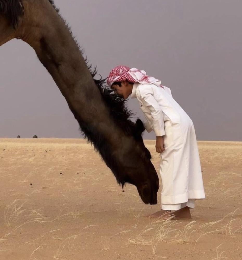 لا تقبل بالعداوات