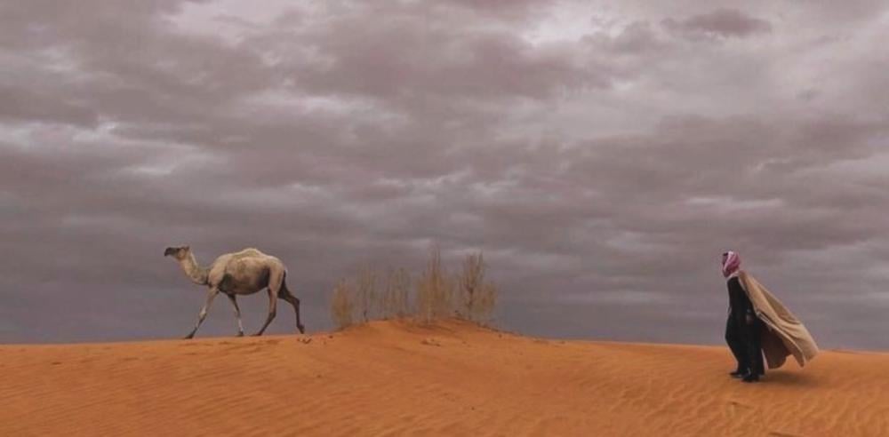 يوجد طبعٍ جميل جدًا لو كان بك لكنت من الشخصيات النادرة في هذا الزمان،