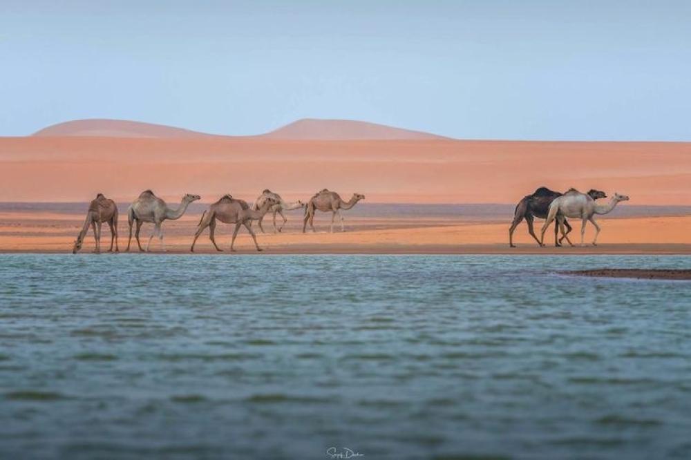 الله يريك، لا ليحزنك