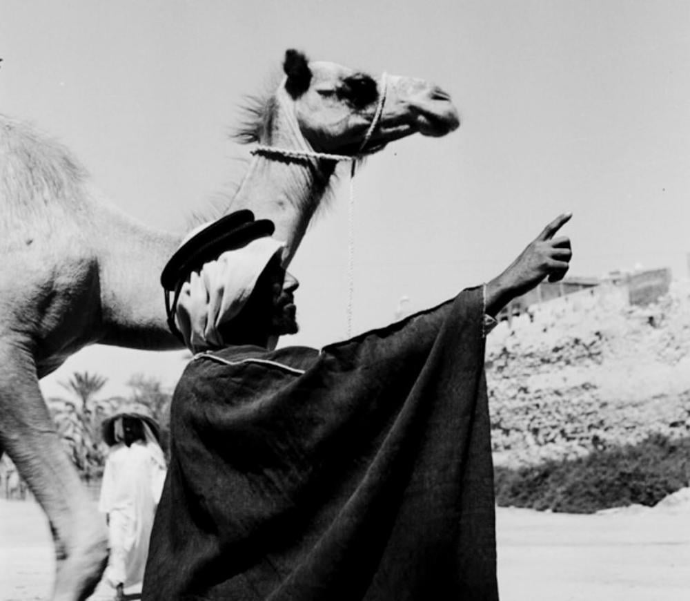 فإذا رأيت في نفسك حبًا للإصلاح مع روح القيادة، فذلك هو الطموح.