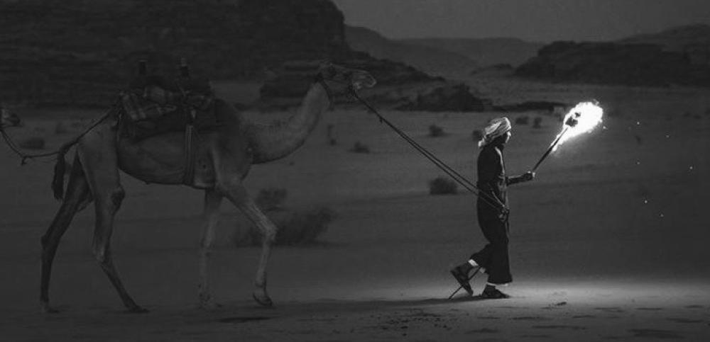 سهام الليل لا تخطأ