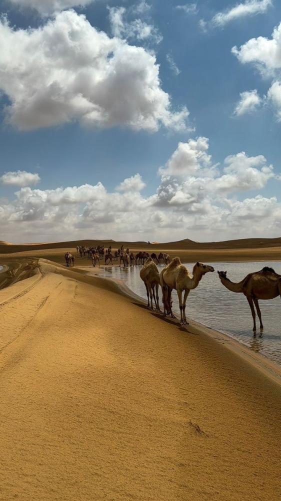 ادّعاء الذكاء جزء من الذكاء