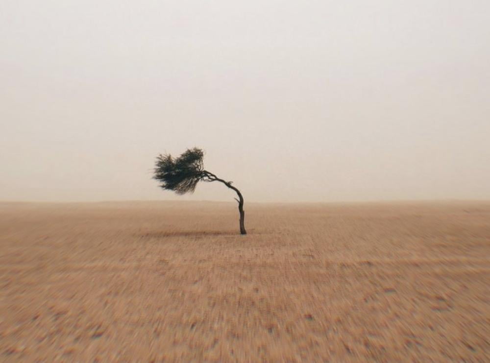 الحياة لا تعاندك