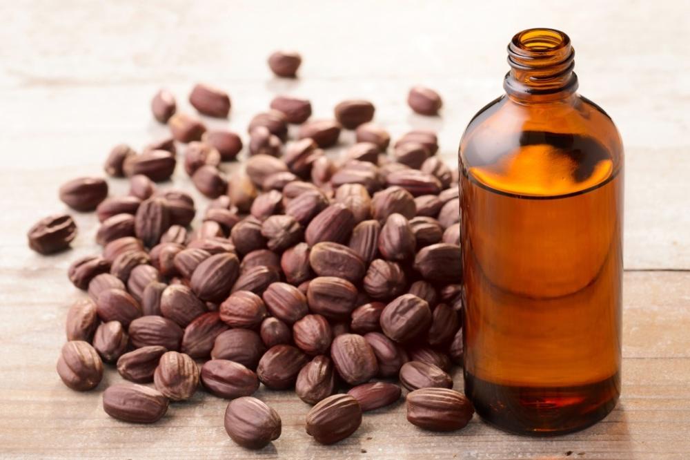 زيت الجوجوبا: سر الجمال الطبيعي للبشرة والشعر