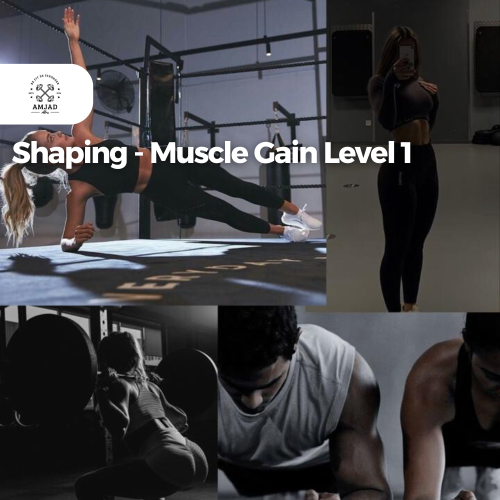 Shaping - Muscle Gain Level 1