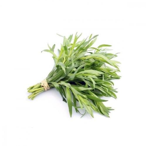حبق ( حزمه )