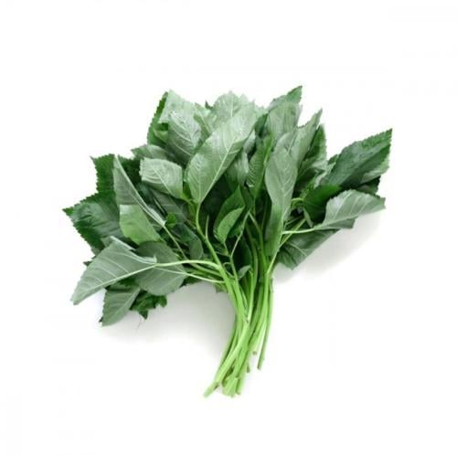 ملوخية ( حزمه )
