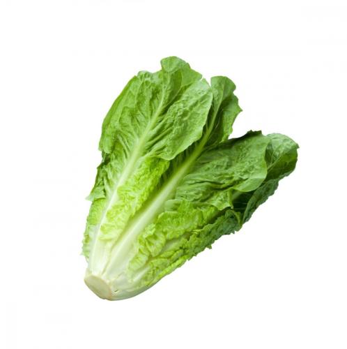 خس بلدي ( 1 حبه )