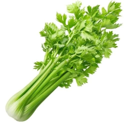 كرفس ( حزمه )