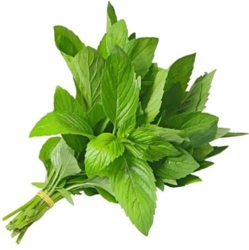 نعناع ( حزمه )