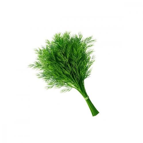 شبت ( حزمه )
