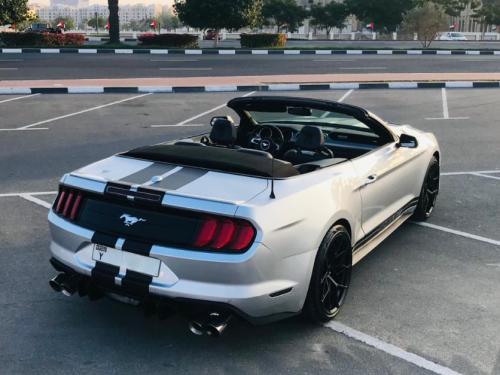 موستينج - Mustang