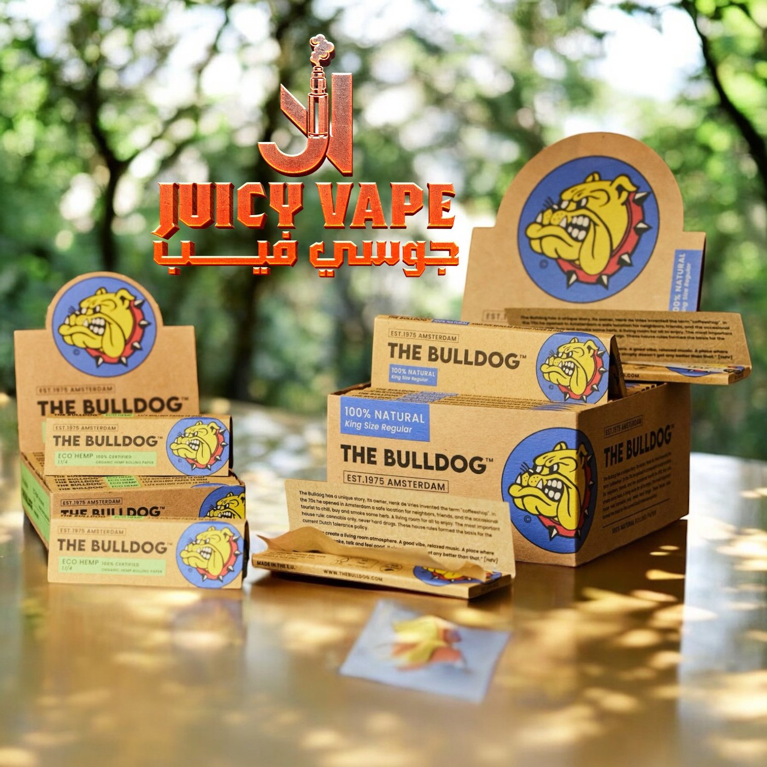 بول دوق - THE BULLDOG