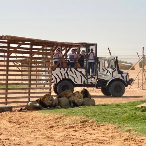 جولة سفاري Safari Tour