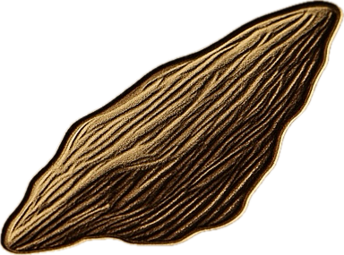 Safi Al Oud