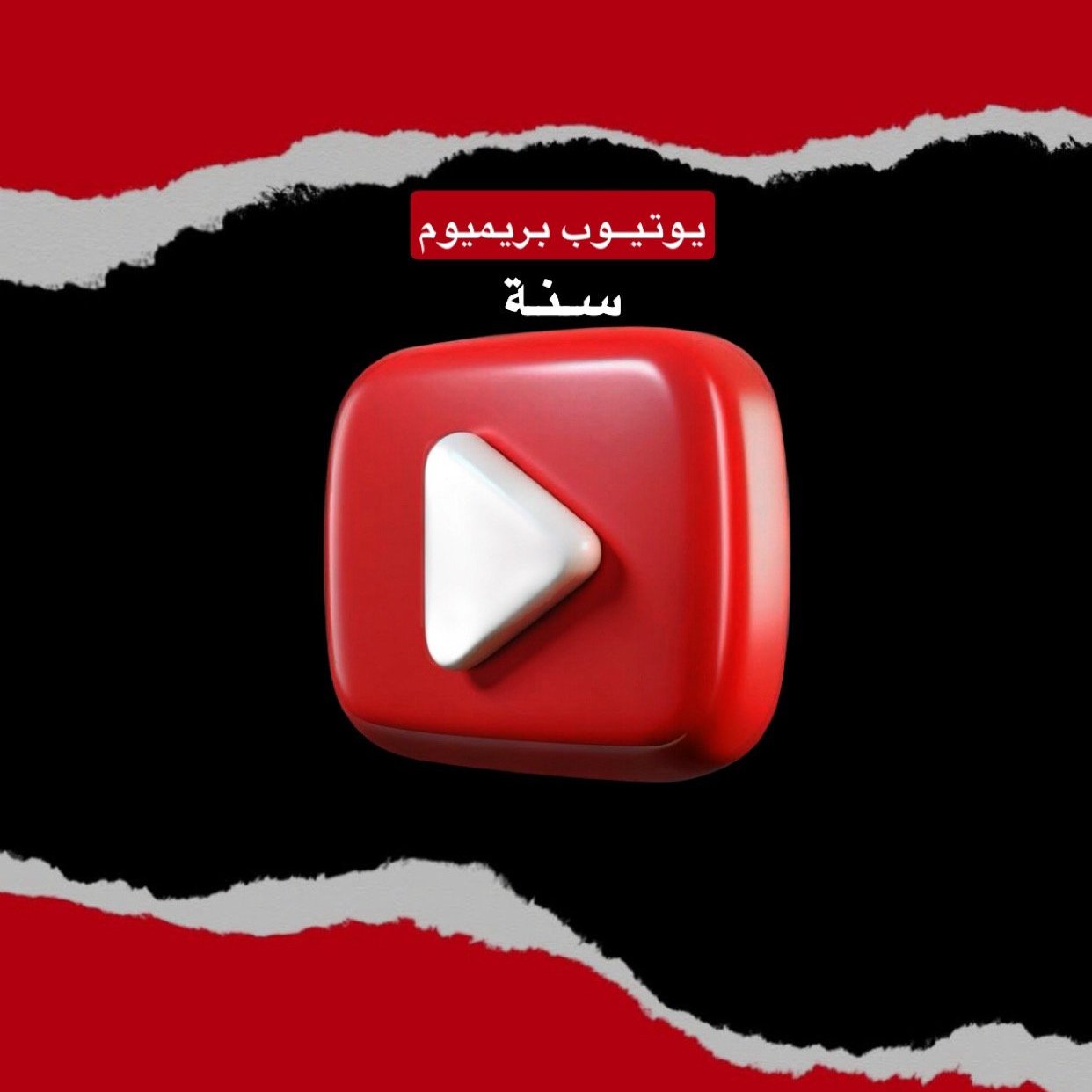يوتيوب بريميوم ( فردي ) سنة