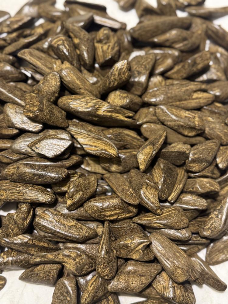 موروكي محسن (البرنس)