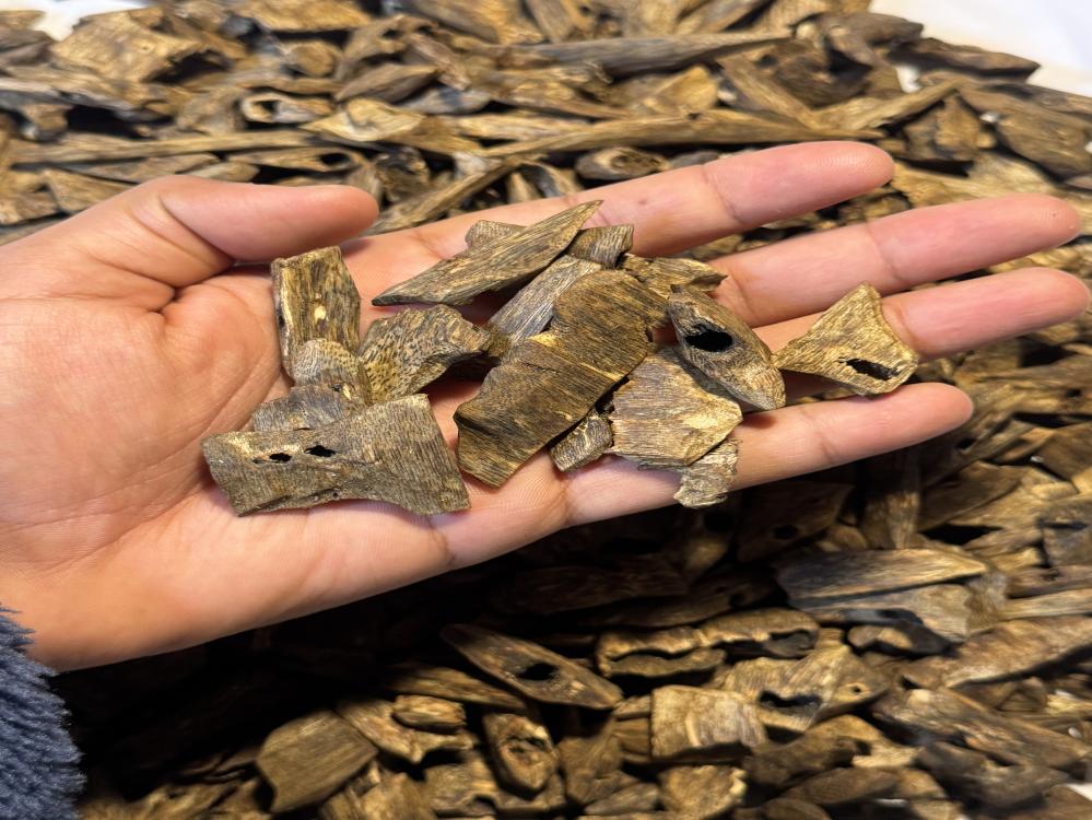 عود كينام صيني سوبر مرتفع واعلى