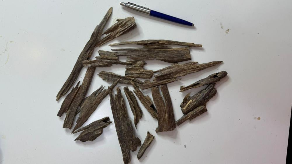 عود هندي طبيعي آسامي سوبر واعلى