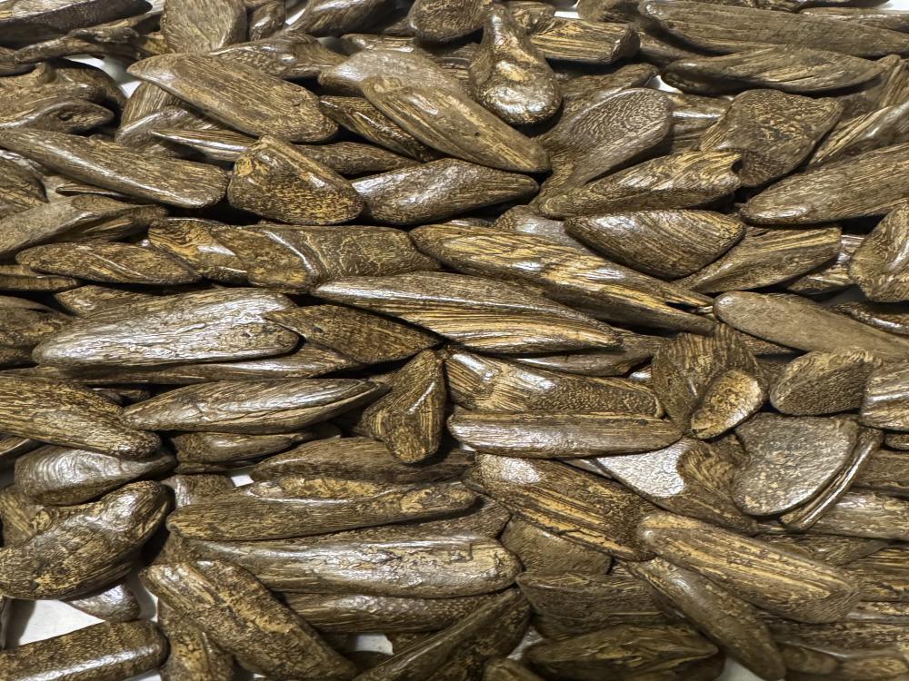 موروكي محسن (البرنس)