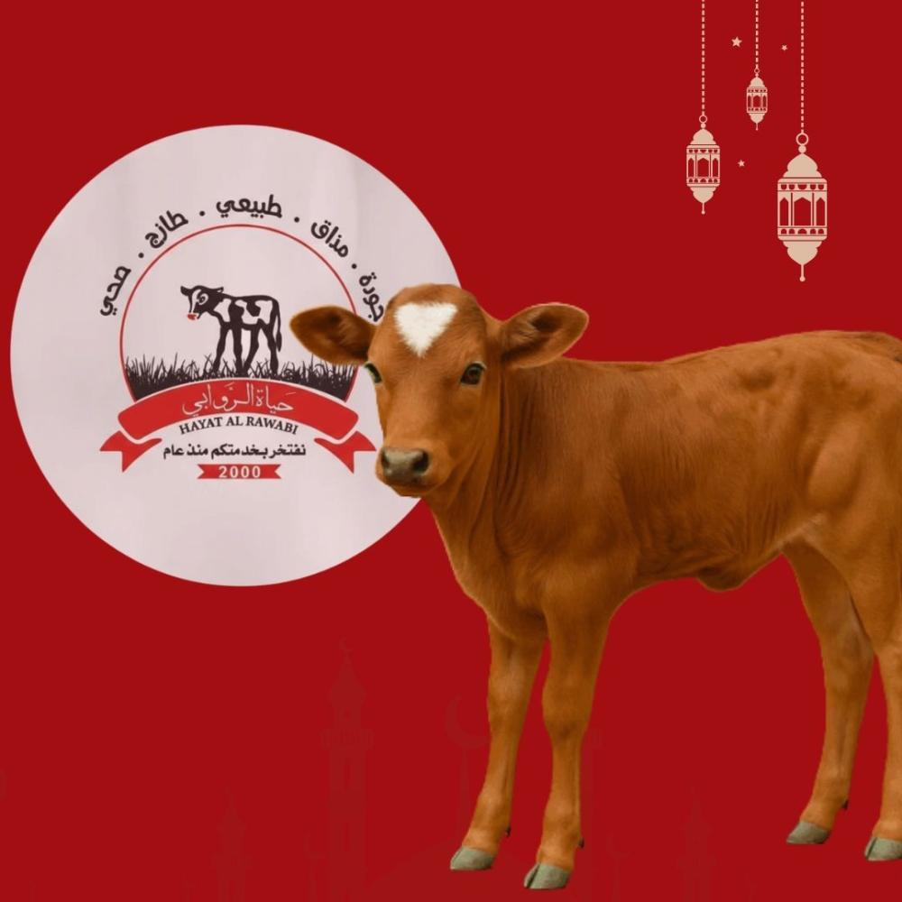 الدليل الشامل للحم العجل البلدي: الفوائد وأفضل طرق الاختيار