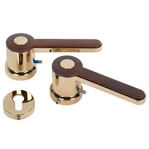 Luxury Door Handle in Gold with Wood Finish