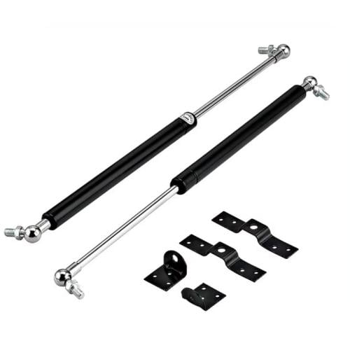 Multi-Purpose Gas Strut