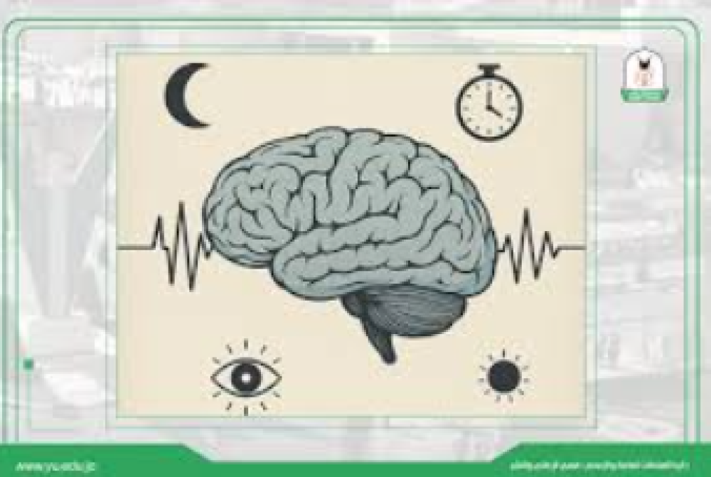 النوم الصحي: سر التوازن الجسدي والنفسي وجودة الحياة