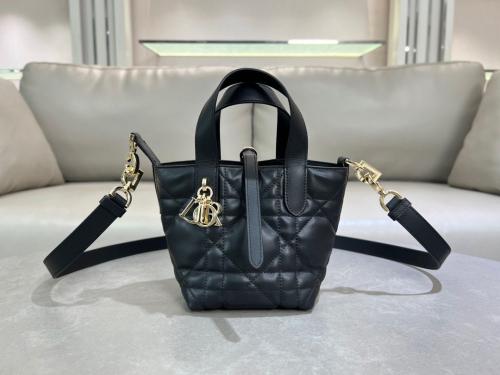 Dior Toujours Vertical Nano Tote Bag