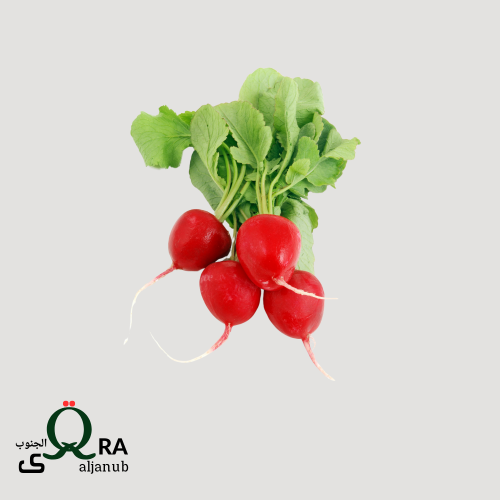 فجل احمر