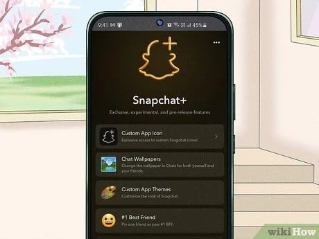 كيف أشترك في سناب بلس لمدة شهر