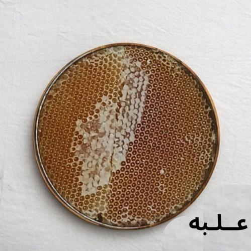 عسل شمع سدرحضرمي ملكي