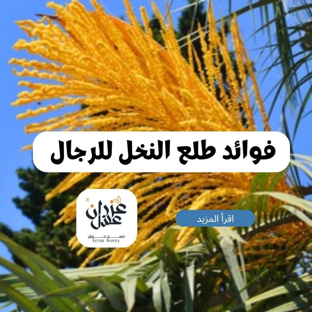 فوائد طلع النخل للرجال: سر قديم لصحة أقوى وحياة أفضل