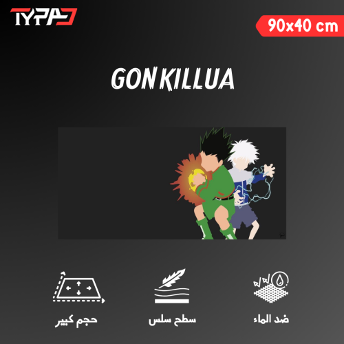gon killua