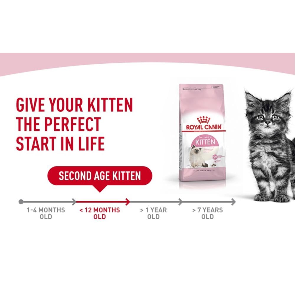 Royal canin 2nd age fashion kitten