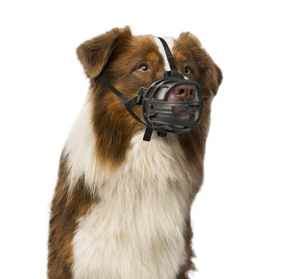 Deals xs dog muzzle