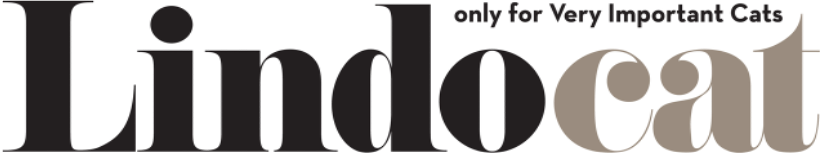 Lindo Cat