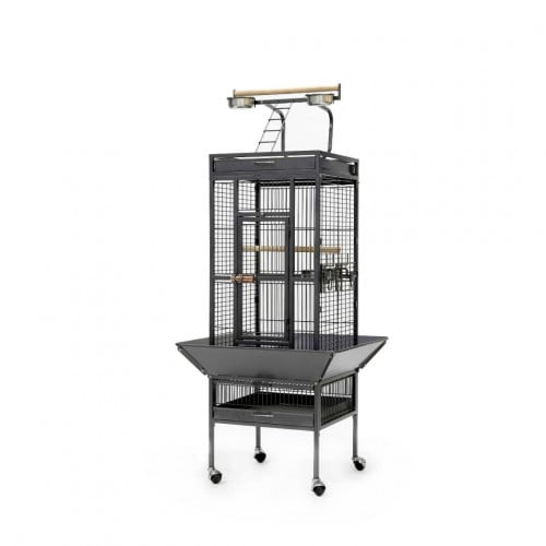 قفص ببغاء Parrot cage (L) A10