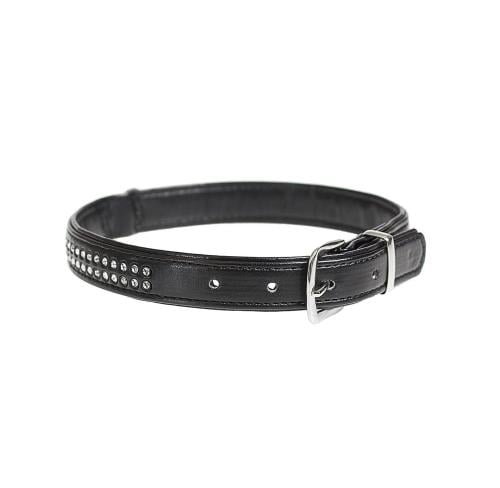طوق للكلاب المقاس XL