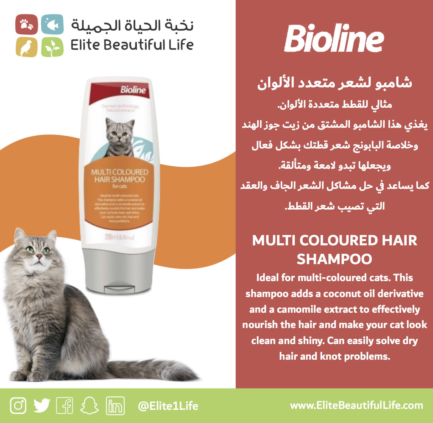 Bioline cat shampoo hotsell