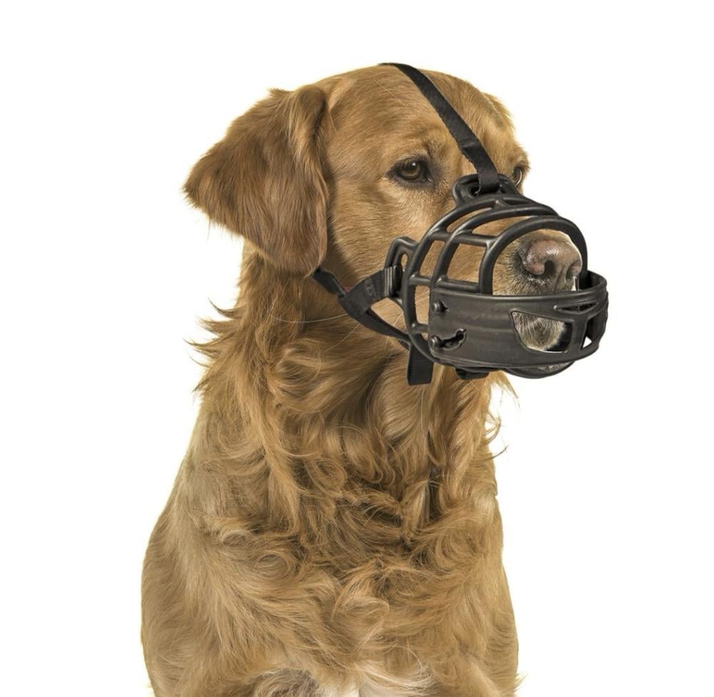 Pet fashion valu dog muzzle