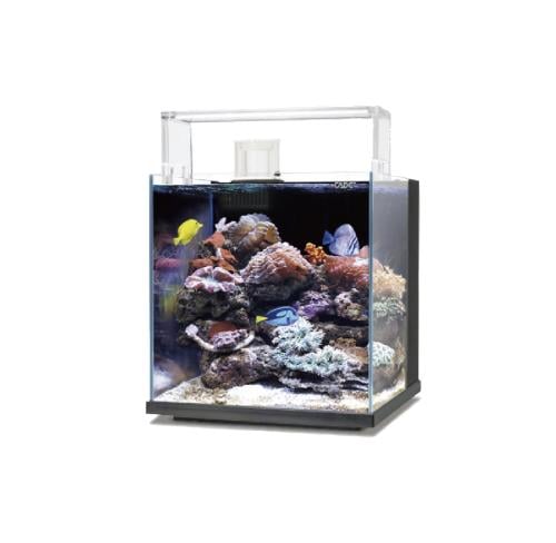 حوض أسماك بحري أسود (فقط حوض) CADE Aquarium PR300