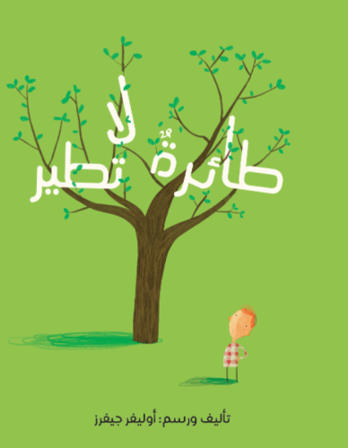 طائرة لا تطير