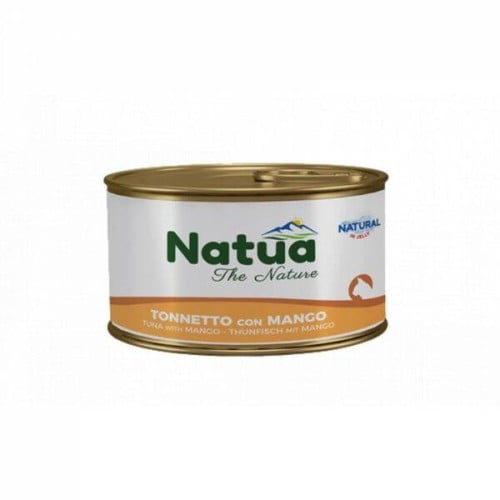 ango 85 GM ناتو طعام القطط بالمانجو 85 جم