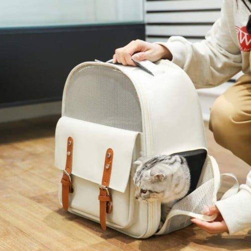حقيبة نقل قطط و كلاب